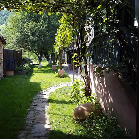 Valchid Guest House 外观 照片