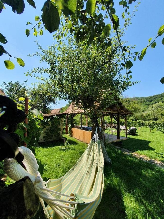Valchid Guest House 外观 照片