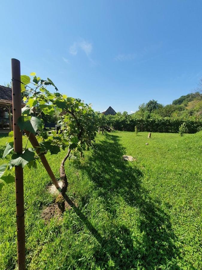 Valchid Guest House 外观 照片
