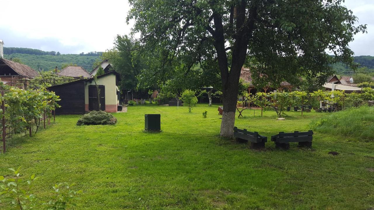 Valchid Guest House 外观 照片
