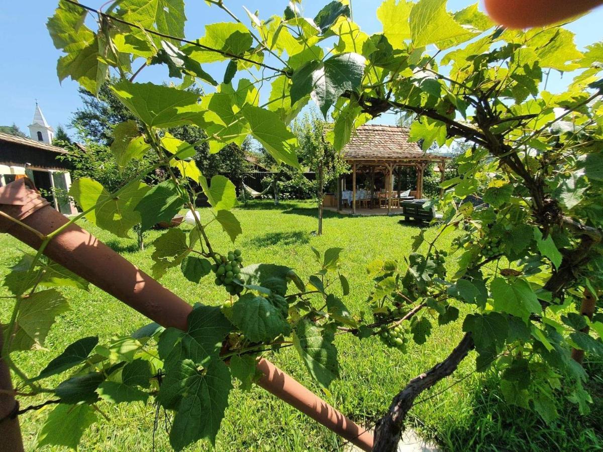 Valchid Guest House 外观 照片