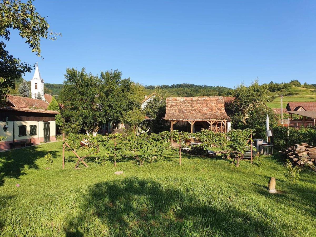 Valchid Guest House 外观 照片